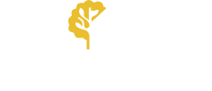 brand new home owners